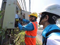 Pelanggan Program Electrifying Agriculture PLN Tumbuh 241 Ribu Sepanjang 2023