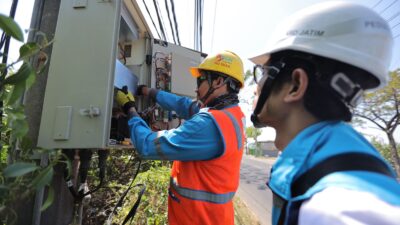 Pelanggan Program Electrifying Agriculture PLN Tumbuh 241 Ribu Sepanjang 2023