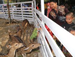 17 Juta Wisatawan Kunjungi Surabaya Sepanjang 2023