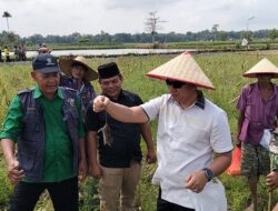 Desa Pematang Gajing Gelar ‘Grobyok Tikus’ untuk Dukung Ketahanan Pangan