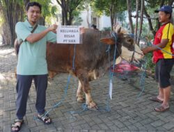 SIER Bagikan 1.100 Paket Daging Kurban Perkuat Harmoni Sosial di Kawasan Industri